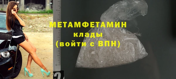 гидра Долгопрудный