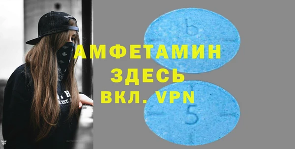 индика Михайловск