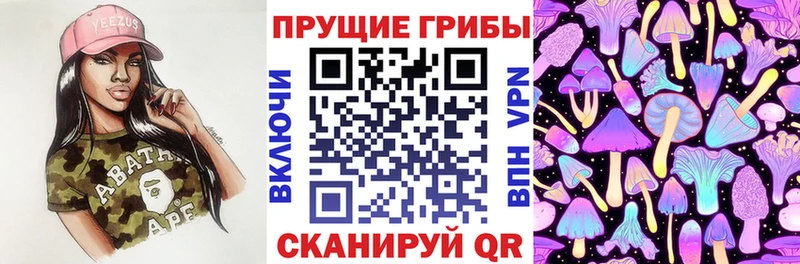 хочу наркоту  Шиханы  Псилоцибиновые грибы прущие грибы 